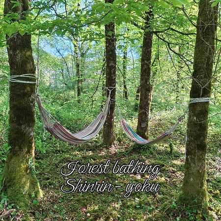 Serenite Verte A La Tuilerie Accommodation La Bazeuge Екстериор снимка