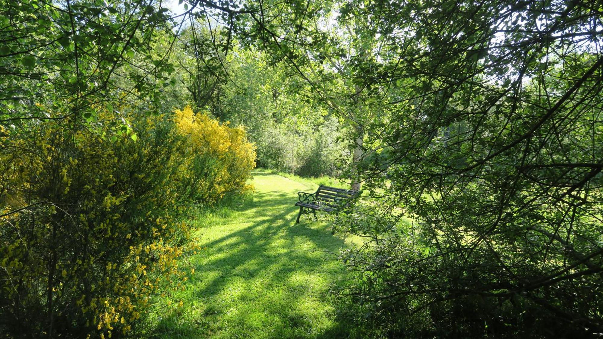 Serenite Verte A La Tuilerie Accommodation La Bazeuge Екстериор снимка