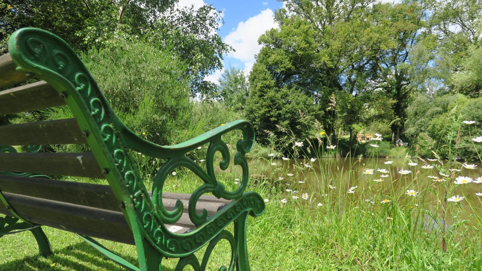 Serenite Verte A La Tuilerie Accommodation La Bazeuge Екстериор снимка