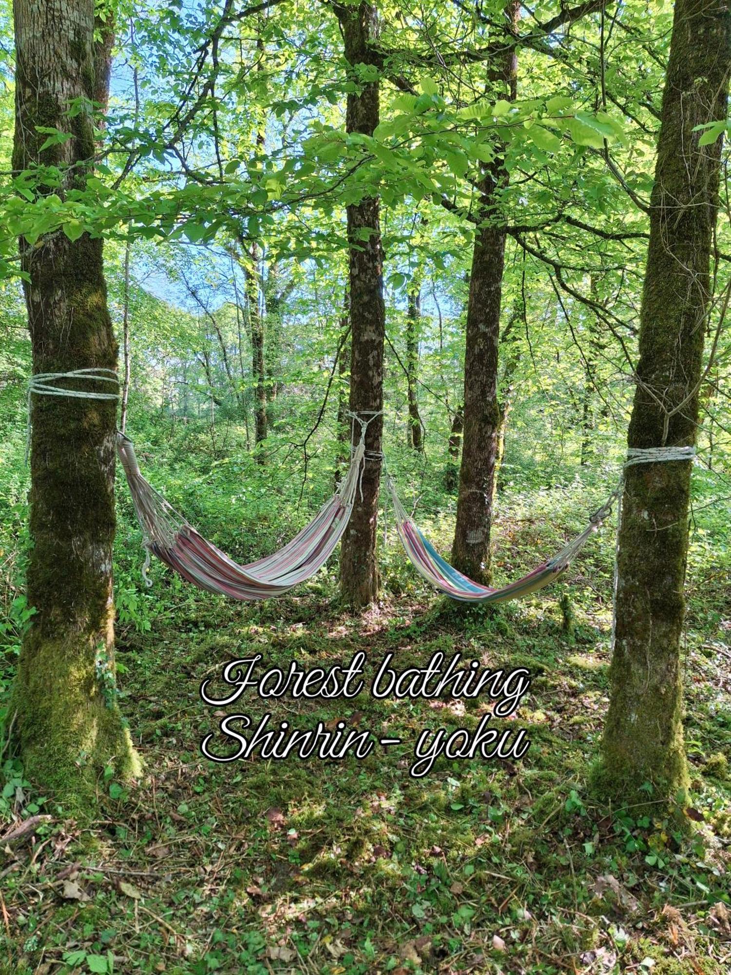 Serenite Verte A La Tuilerie Accommodation La Bazeuge Екстериор снимка